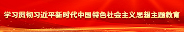 艹bb在线学习贯彻习近平新时代中国特色社会主义思想主题教育